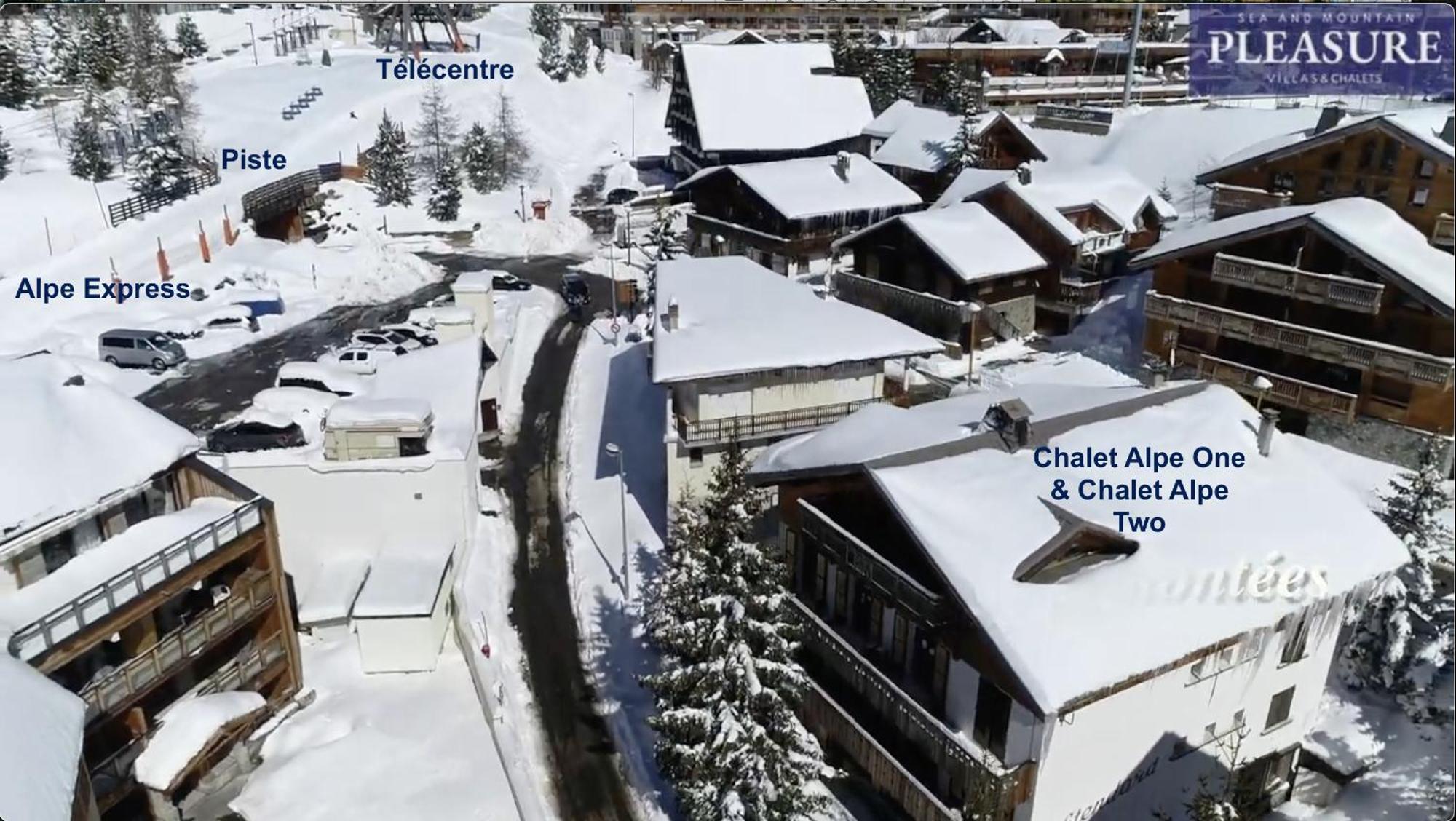 Chalet Alpe D'Huez 1850-Sea And Mountain Pleasure Avec 2 Appartements- 1 Appartement 3 Chambres 8 Couchages - 3 Salles D'Eau Et 1 Appartement 5 Chambres 12 Couchages 5 Salles D'Eau - Jacuzzi Et Sauna -Pieds Des Pistes Et Centre Kültér fotó